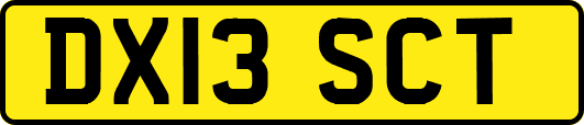 DX13SCT