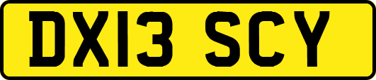 DX13SCY