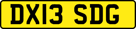 DX13SDG