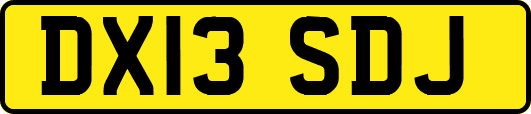 DX13SDJ