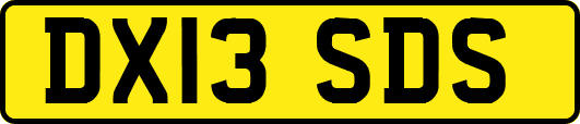 DX13SDS