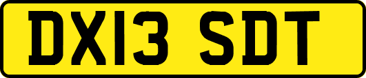 DX13SDT