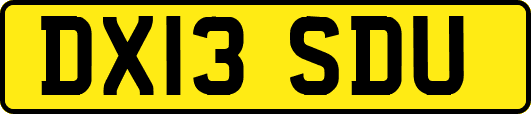 DX13SDU