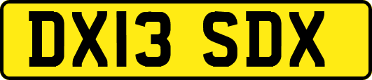 DX13SDX