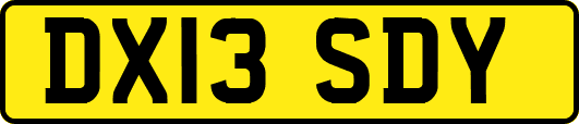 DX13SDY