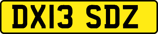 DX13SDZ