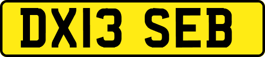 DX13SEB