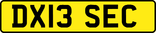 DX13SEC