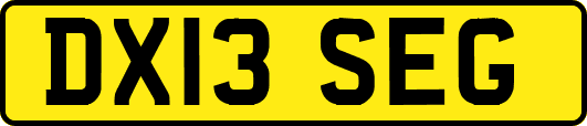 DX13SEG