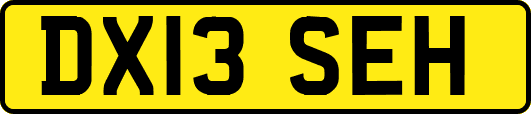 DX13SEH