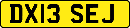 DX13SEJ