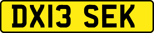 DX13SEK