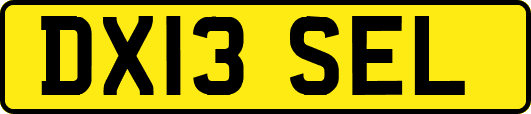 DX13SEL