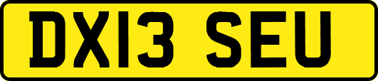 DX13SEU