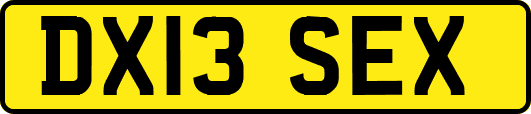 DX13SEX