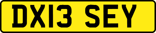 DX13SEY
