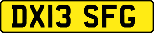 DX13SFG
