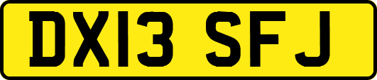 DX13SFJ