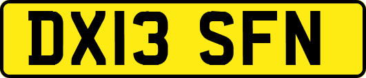 DX13SFN