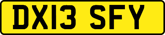 DX13SFY