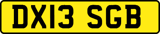 DX13SGB