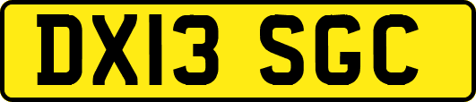 DX13SGC
