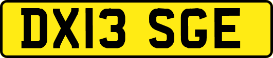 DX13SGE