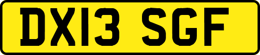 DX13SGF