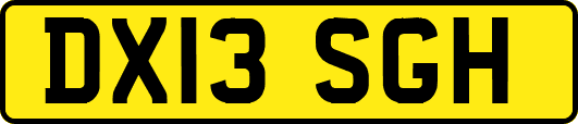DX13SGH