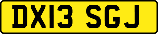 DX13SGJ