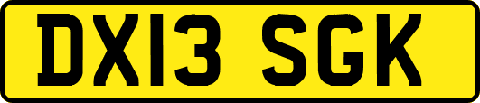 DX13SGK