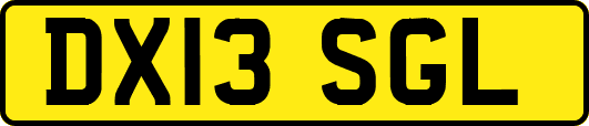 DX13SGL