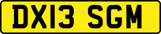 DX13SGM