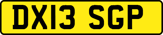 DX13SGP