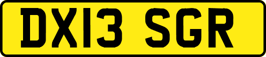 DX13SGR