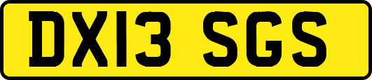 DX13SGS
