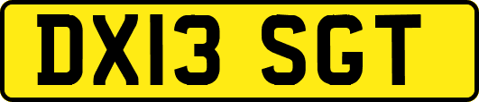 DX13SGT