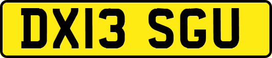DX13SGU