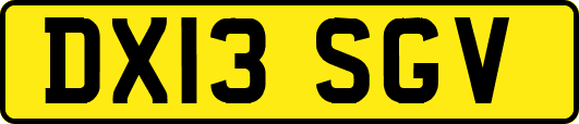 DX13SGV