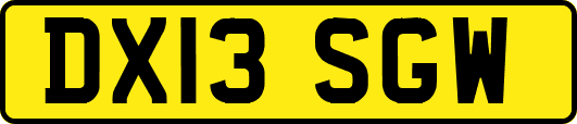 DX13SGW