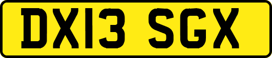 DX13SGX