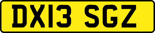 DX13SGZ