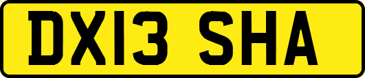 DX13SHA