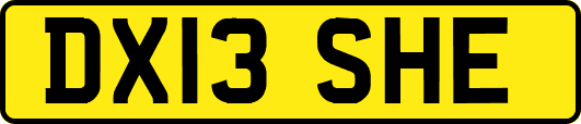 DX13SHE