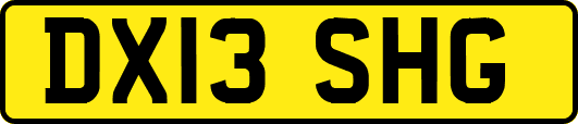 DX13SHG