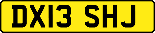 DX13SHJ