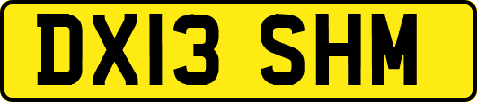 DX13SHM