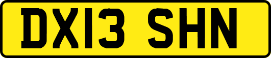 DX13SHN