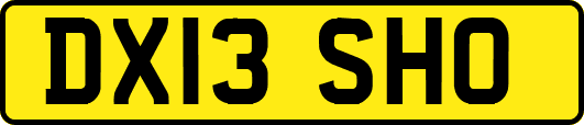 DX13SHO