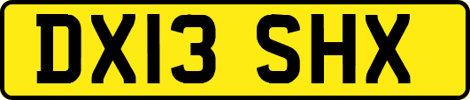 DX13SHX